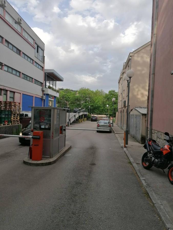 Vila Mira Τρέμπινιε Εξωτερικό φωτογραφία